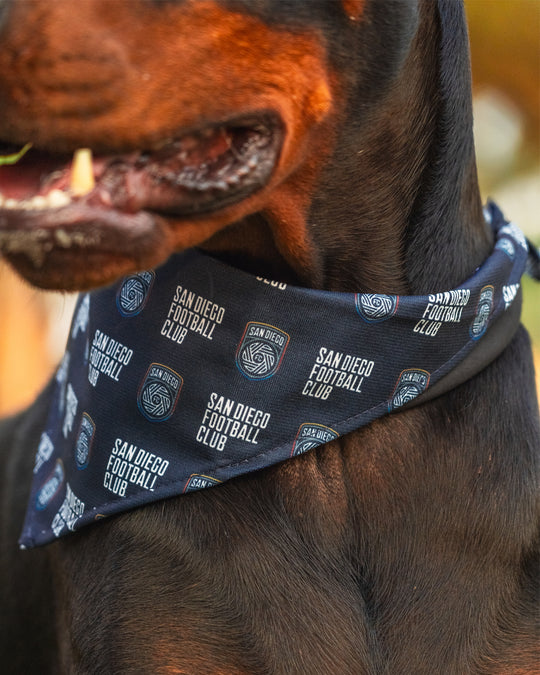 SDFC Pet Bandana