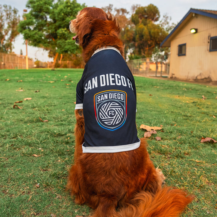 SDFC Pet Jersey
