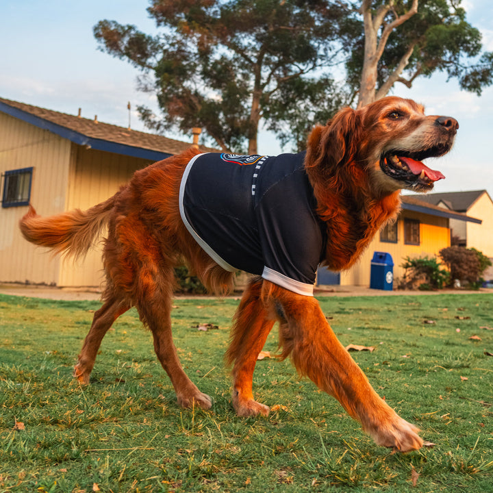 SDFC Pet Jersey