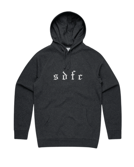 Through Her Lens Charcoal Hoodie