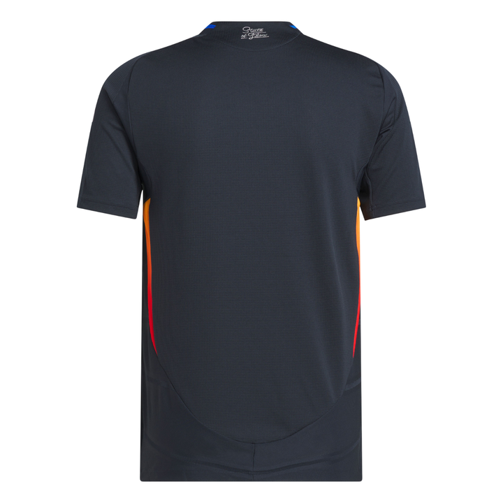 LIMITED EDITION 2025 Primary Authentic Jersey